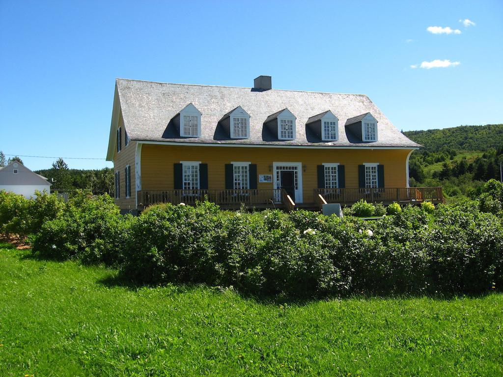 Motel Le Noroit L'Anse-au-Griffon Exterior photo